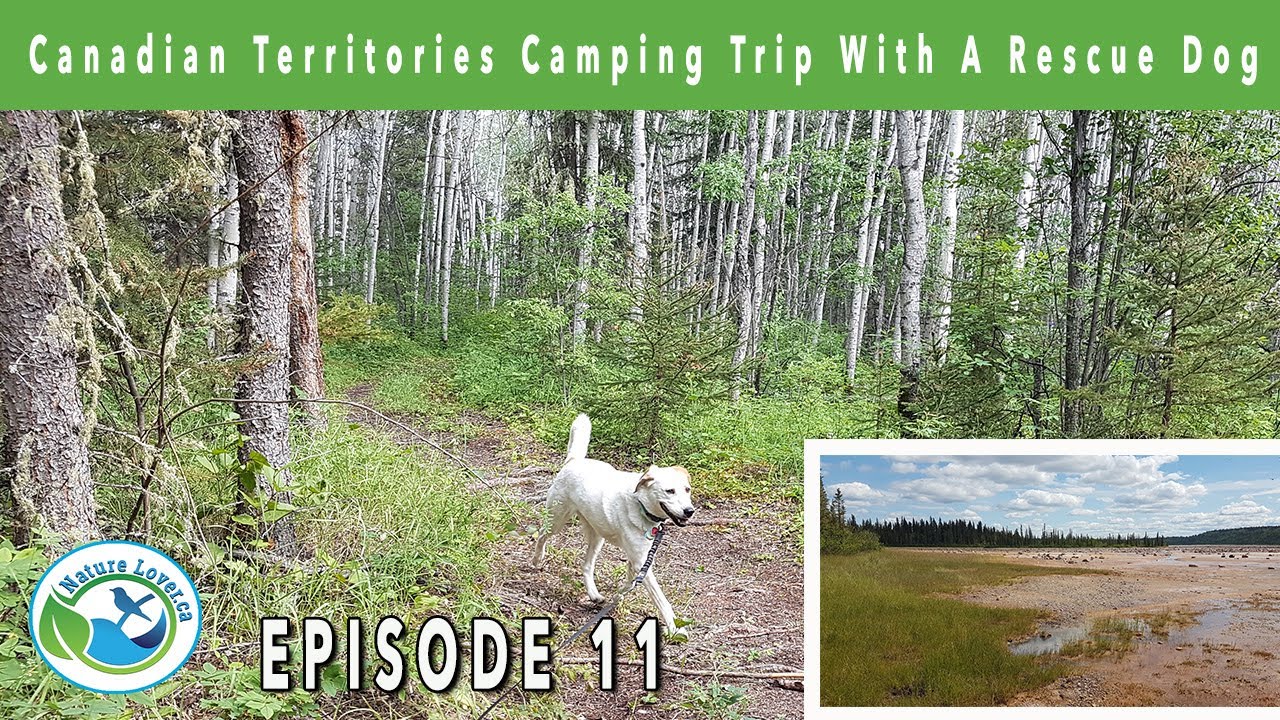 Can We Survive the Bug Attack on Bench Creek Trail?