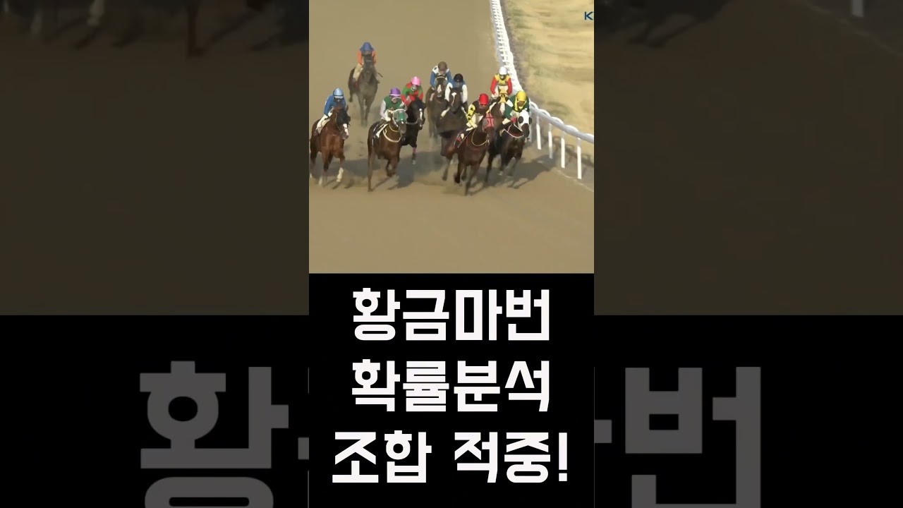 [삼복 156배 폭발!] 😱 아직도 운으로 베팅해? 156배 적중시킨 '확률 분석'의 비밀 알고 싶어? 🎯매주 9999적중 💥폭발! | 0410 부산8 |#경마 #쇼츠  #고배당