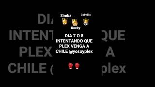 Dia 7 o 8 intentando que plex venga a chile @YoSoyPlex