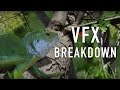 Lizard shot: VFX breakdown