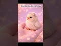 Dreamy Cute Animals - imaginary baby chick #cute #animals #baby #adorable #pets #funny #imaginary