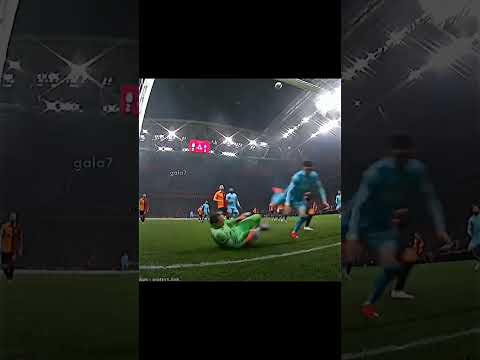 yapma Muslera..
