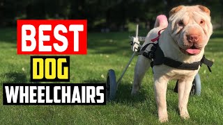 Top 5 Best Dog Wheelchairs In 2025