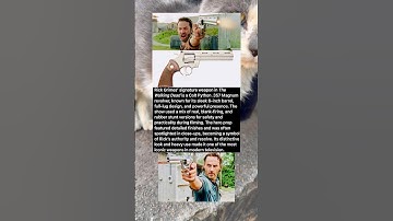 Rick Grimes Python Revolver