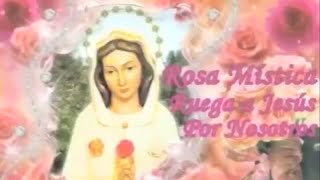 Video thumbnail of "CANCIONES A LA VIRGEN ROSA MISTICA"