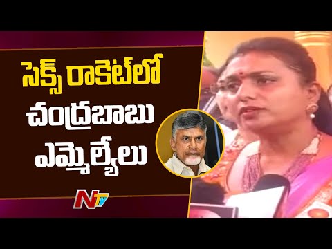 Minister RK Roja sensational comments on Chandrababu | NTV