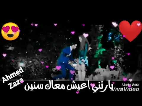 حالات واتس بندق غزال هالقي زيك انت فين