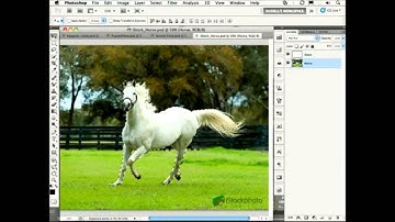 AcademicSuperstore.com presents Adobe Photoshop CS5 Extended