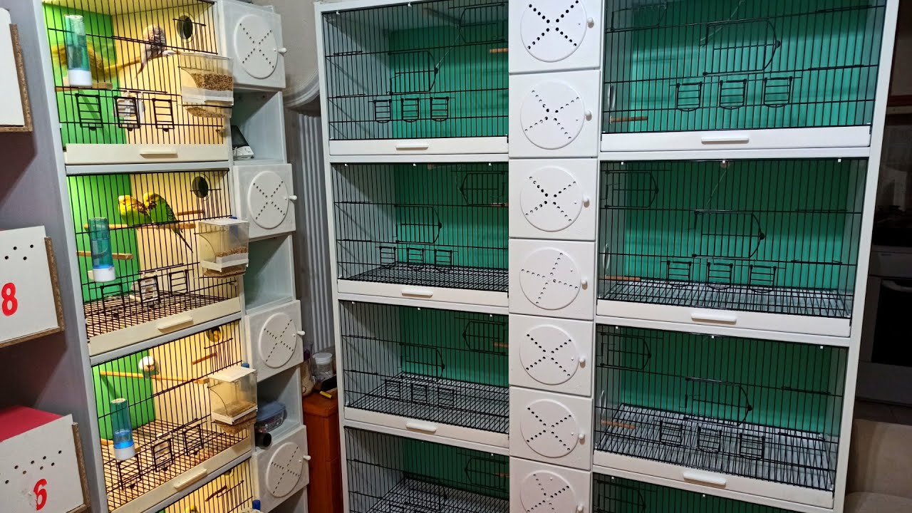 Kendinden Yuvalikli PVC Kafesimiz Geldi Efsane Güzel !!