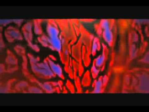 Hellsing Ultimate   Evolution   YouTube