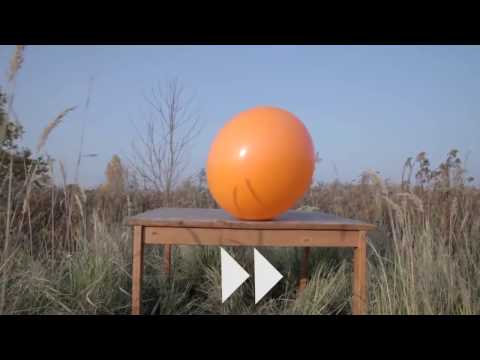 Video Những Thí Nghiệm Vui Bất Ngờ Từ Đá Khô Co2 - youtube
