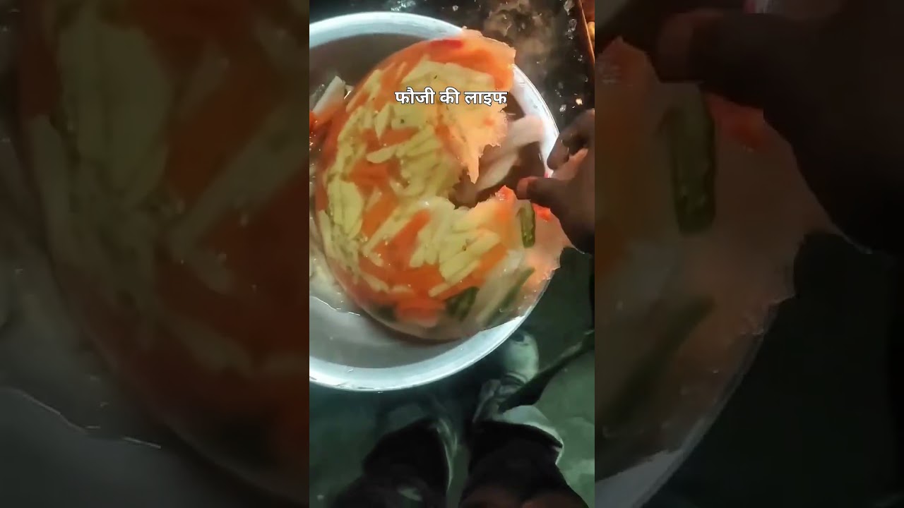 army soldiers ki life siachen/desh ke jawan/