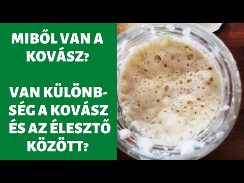 Videó: Különbség Az élesztő és A Gombák Között