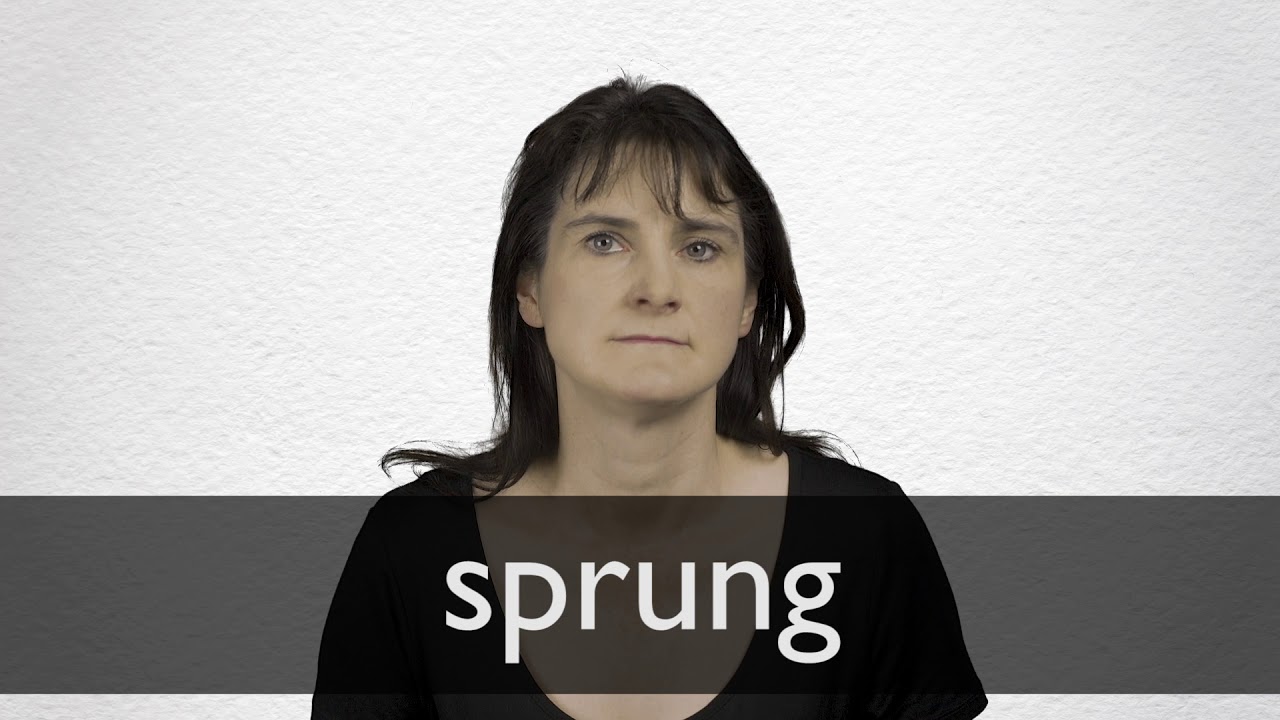 SPRUNG definition and meaning