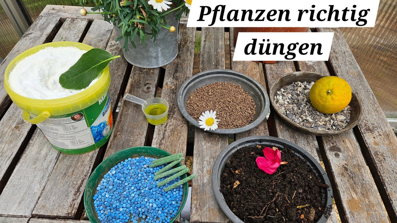 Pflanzen und Blumen richtig dngen. Das groe Dngevideo. Darauf msst ihr  beim dngen achten.