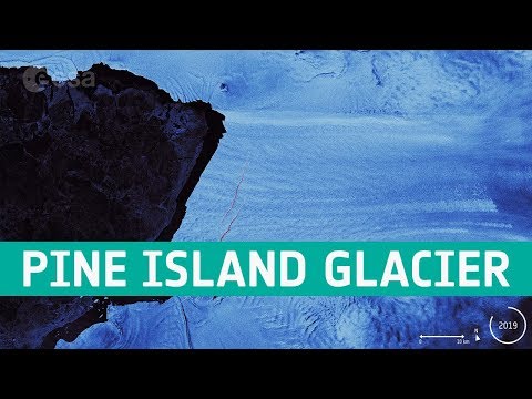 Evolution of the cracks in the Pine Island Glacier