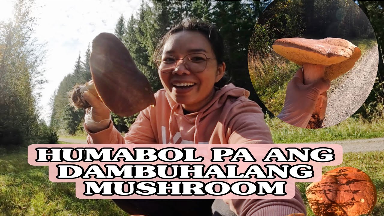 HUMABOL PA DAMBUHALANG MUSHROOM! FINLAND VLOG