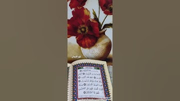 تلاوة سورة الفاتحة بصوت خاشع ماشاء الله