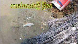 ជើងនេះរបស់លេងថ្មីចេស ខ្ចីគេលេងទេបងប្អូន ខ្ញុំអត់មានទេ The Best Fishing Videos 2026 | #795