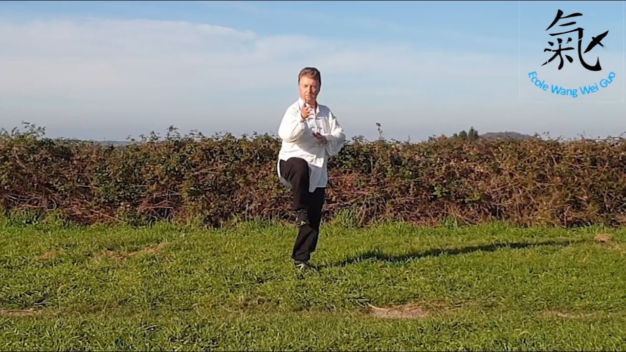 Forme 108 - Taijiquan style Yang - 1ère partie (version 2)