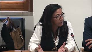31-03-2026 | Audiência da FENPROF | Rosa Isabel Cruz