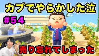 【あつまれどうぶつの森】悲報、カブで完全にやらかしてしまった泣！！#54