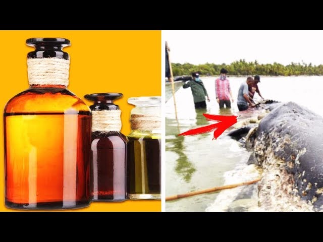 Мушки анбар нимадан олинишини куринг