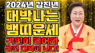 2024년 갑진년 대박나는 뱀띠운세2024년 인생을 바꿀 대운 들어온다! 등에 날개를 달고 날아보자!! / …
