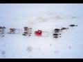 Nenets in transhumance. Yamal. 4K