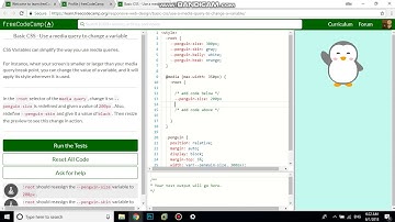 Basic CSS   Use a media query to change a variable free code camp   Dani
