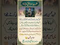 #HikmatMolaAliAS#Shorts #IslamicReminder#FridayVibes #MartyrStory #SpiritualReminde #PeaceOfMind