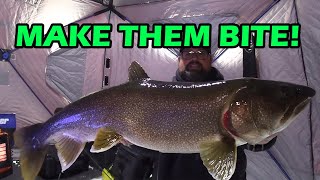 BIG BIG Lake Trout!! | Ice Fishing