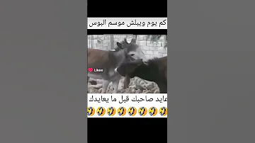٣٠ حزيران ٢٠٢٤ 