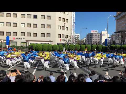 皇學館大学"雅"　安濃津よさこい 2019