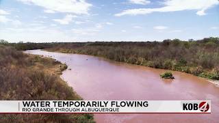 Temporary water flow returns to Rio Grande after Abiquiu Reservoir release