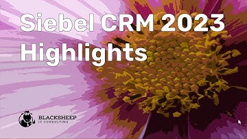 Siebel CRM 2023 Highlights
