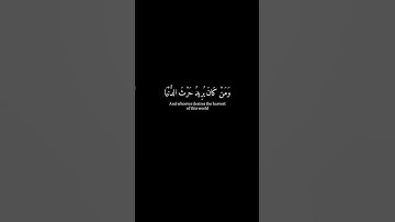 [من كان يُريد حرث الآخرة نزد له في حرثه..] كرومات قران شاشة سوداء-سورة الشورى- عبدالله موسى