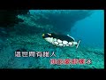 天頂的月娘啊 許景淳 女G調 伴奏 導唱3顆 金嗓丙 天頂的月娘啊 許景淳 女G調 伴奏 導唱3顆 金嗓丙