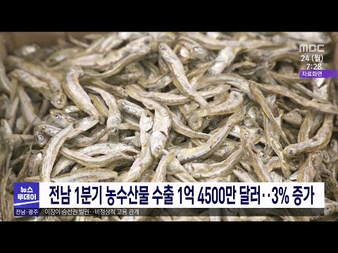   전남 1분기 농수산물 수출 1억4500만달러 3 증가 목포MBC 뉴스투데이