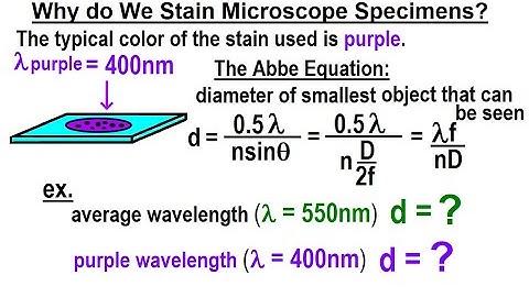 Physics 59  Optical Instruments (15 of 20) Why Do We Stain Microscope Specimens?