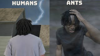 How humans react to lightning vs how ants react to lightning