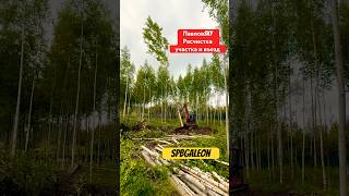 РАСЧИСТКА УЧАСТКА СВОИМИ РУКАМИ. ВЫРАВНИВАНИЕ #shorts #участок #дача #дом #сад #экскаватор #стройка