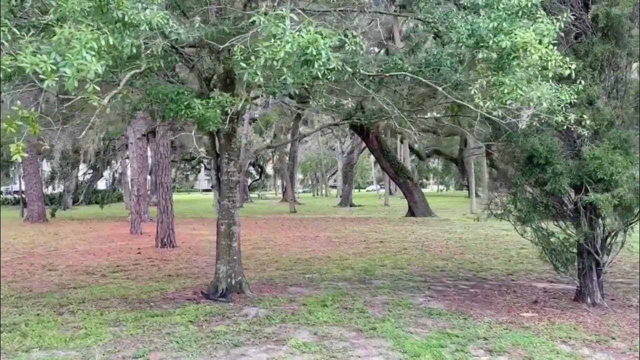 Swann Estates Florida Real Estate For Sale in Swann Estates with