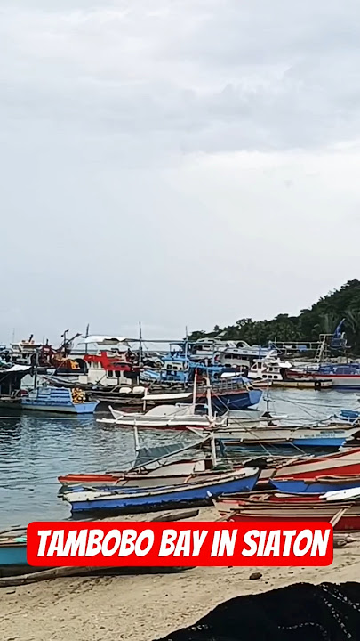 Tambobo Bay in Siaton #shortsviral #shortvideo