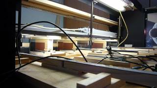 Renovation Part 2