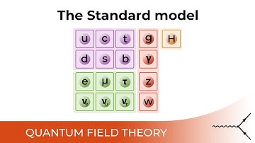 The Standard Model of Particle Physics - 4.1