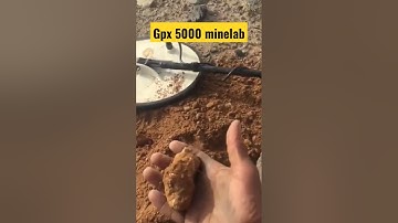 GPX 5000 MINELAB #shorts #viral #minelab #shortvideo #golddetector