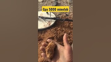 GPX 5000 MINELAB #shorts #viral #minelab #shortvideo #golddetector