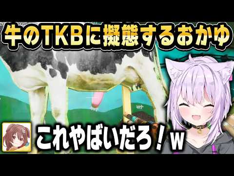 【めっちゃカメレオン】大喜利でみんなを爆笑させるおかゆんｗ【ホロライブ 切り抜き】