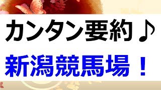 新潟競馬場攻略法！直線1000ｍと内回り外回りのポイント